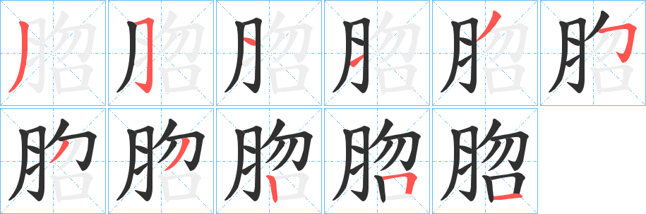 脗笔顺分步演示