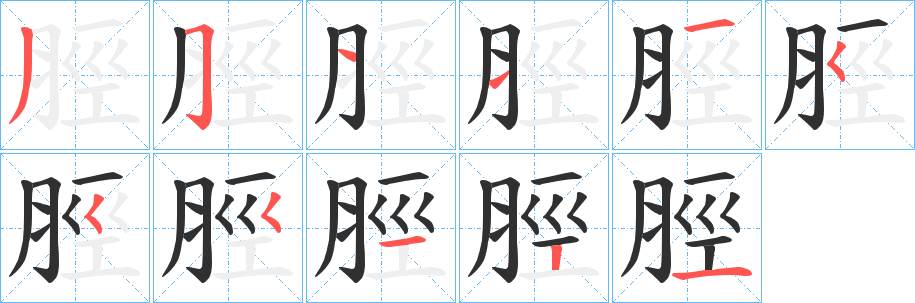 脛笔顺分步演示