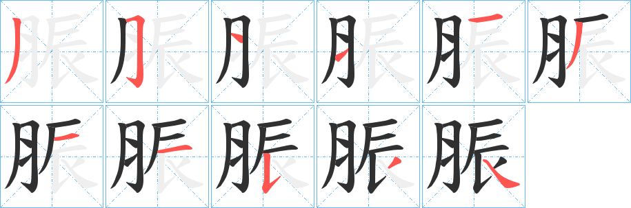 脤笔顺分步演示