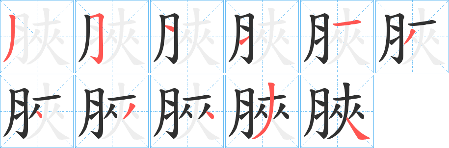 脥笔顺分步演示