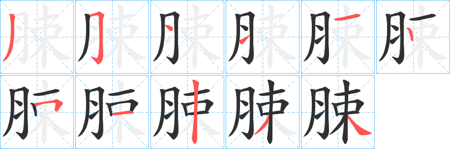 脨笔顺分步演示