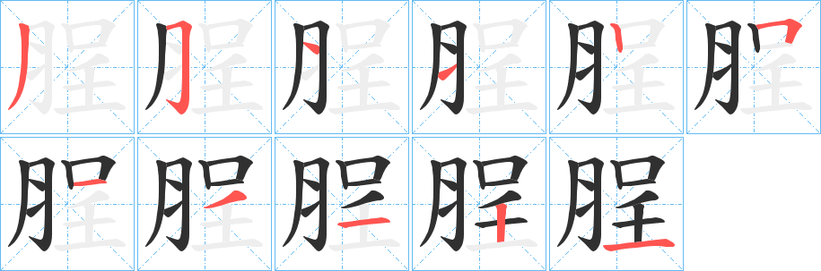 脭笔顺分步演示