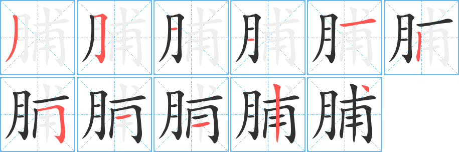 脯笔顺分步演示