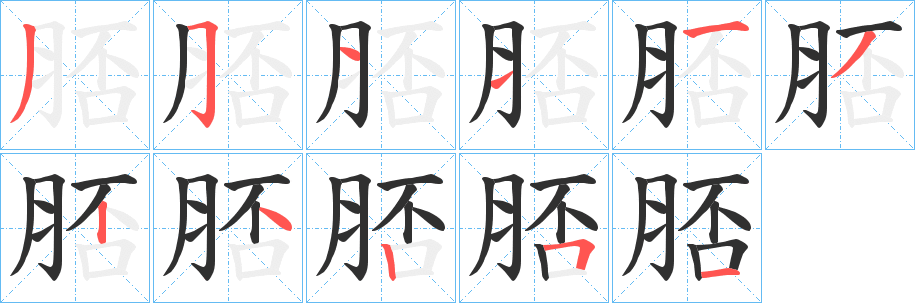 脴笔顺分步演示