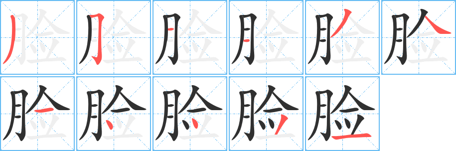 脸笔顺分步演示