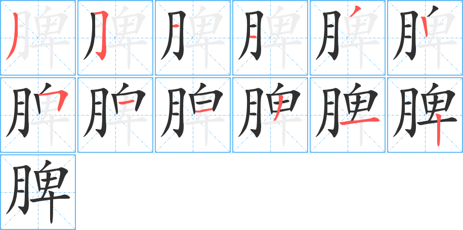 脾笔顺分步演示