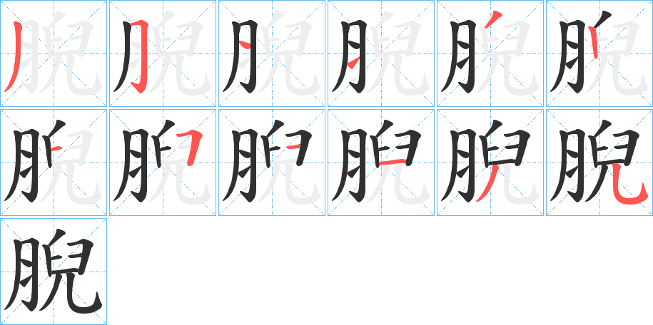 腉笔顺分步演示