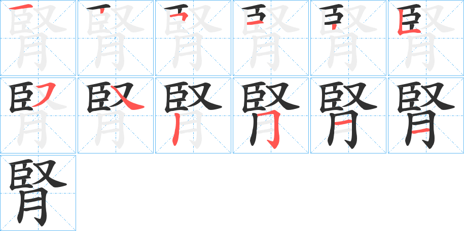 腎笔顺分步演示