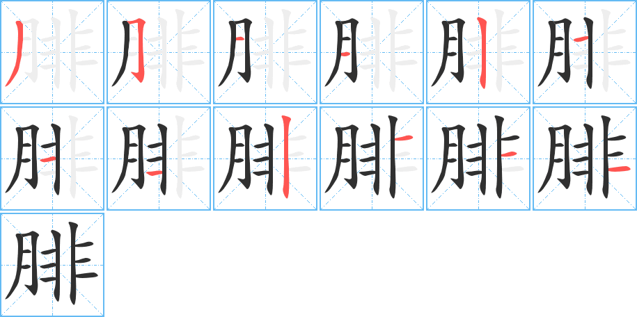 腓笔顺分步演示