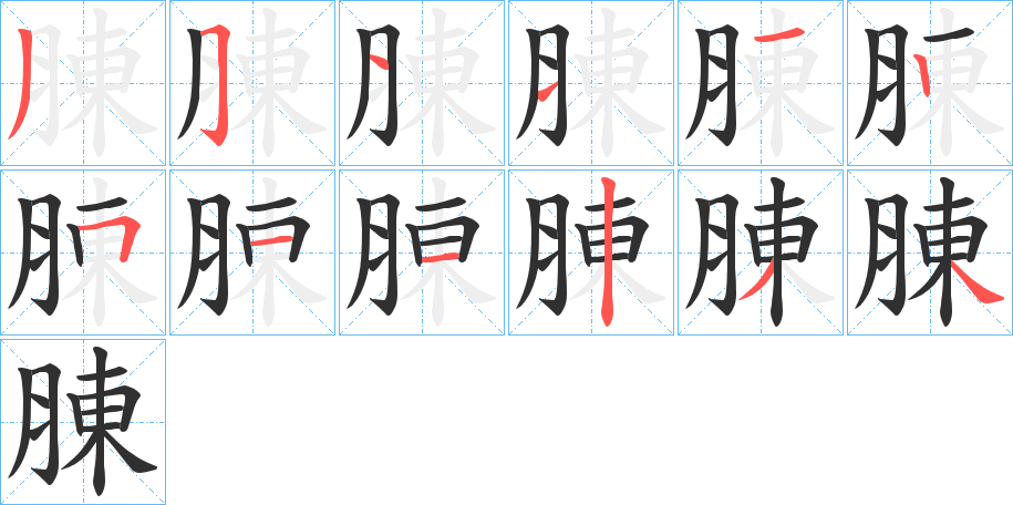 腖笔顺分步演示