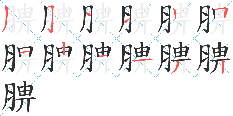 腗笔顺分步演示