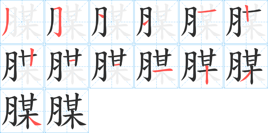 腜笔顺分步演示