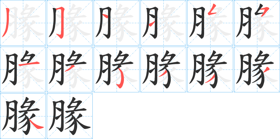腞笔顺分步演示