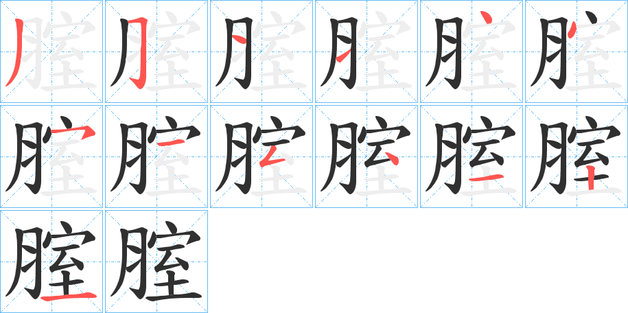 腟笔顺分步演示
