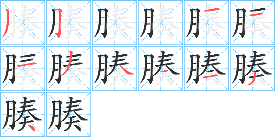 腠笔顺分步演示