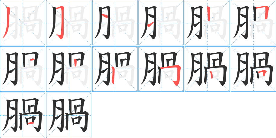 腡笔顺分步演示