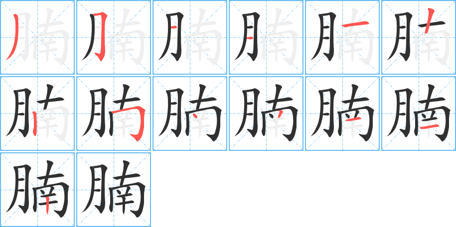 腩笔顺分步演示