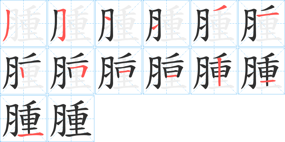 腫笔顺分步演示