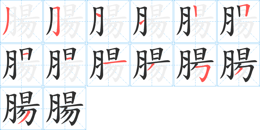 腸笔顺分步演示