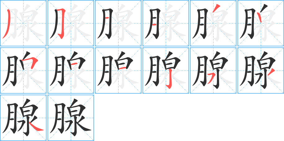 腺笔顺分步演示