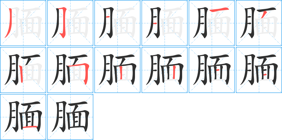 腼笔顺分步演示