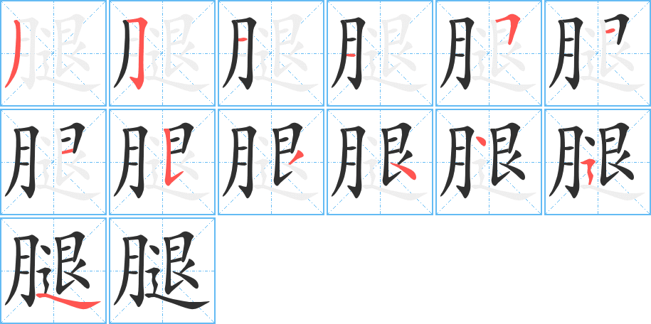 腿笔顺分步演示