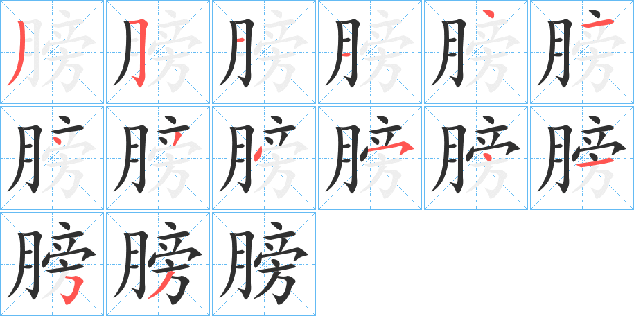 膀笔顺分步演示