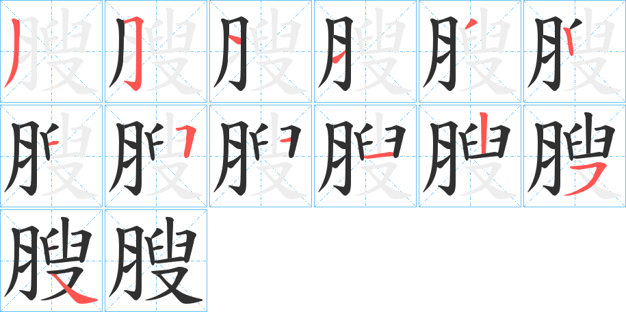 膄笔顺分步演示