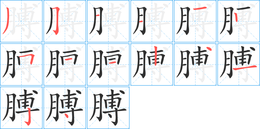 膊笔顺分步演示