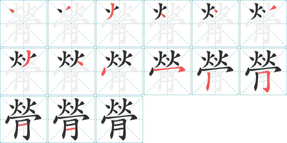 膋笔顺分步演示