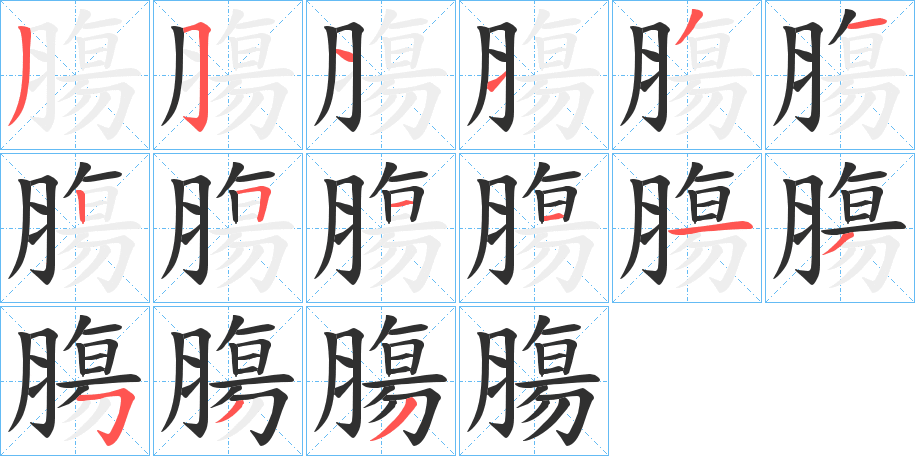 膓笔顺分步演示