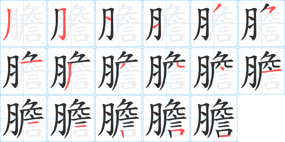 膽笔顺分步演示