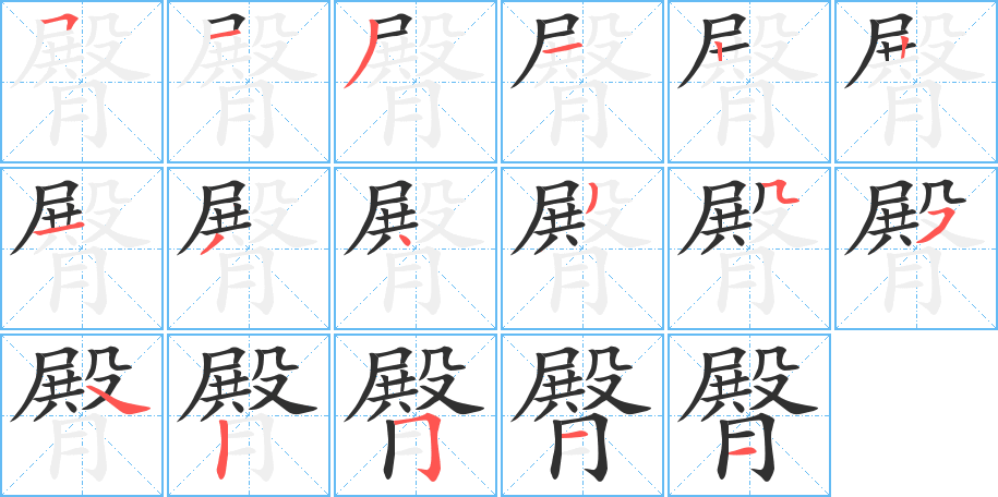 臀笔顺分步演示