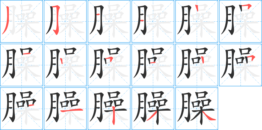 臊笔顺分步演示