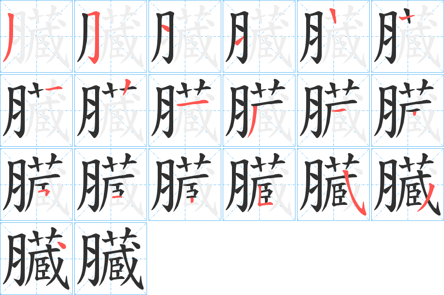 臓笔顺分步演示