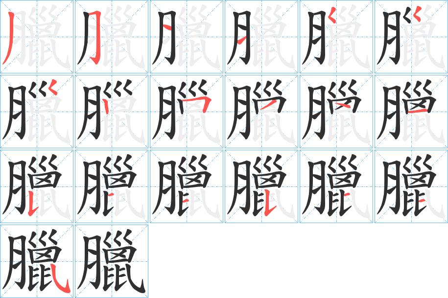 臘笔顺分步演示