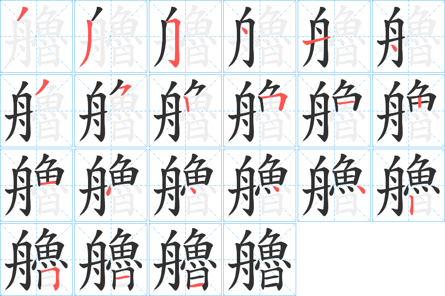艪笔顺分步演示