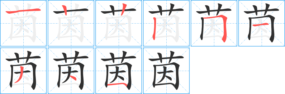 茵笔顺分步演示