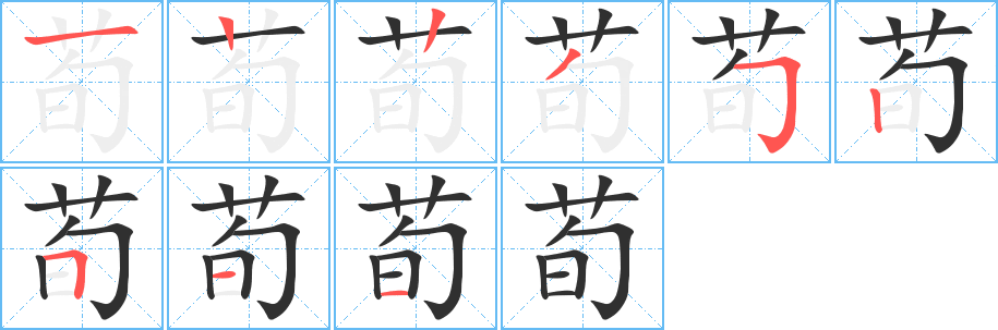 荀笔顺分步演示