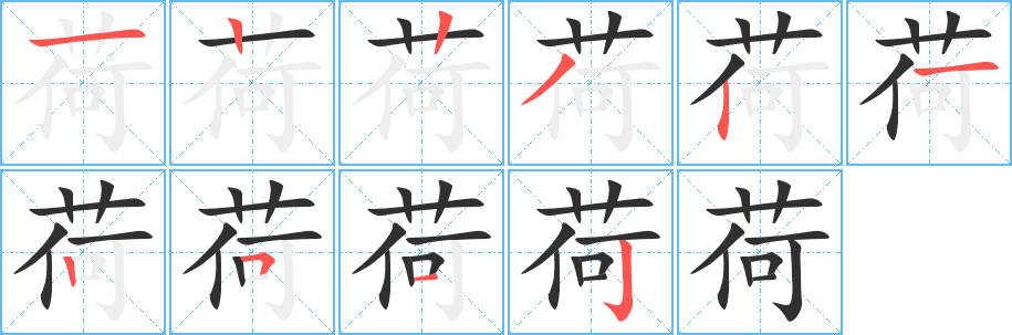 荷笔顺分步演示