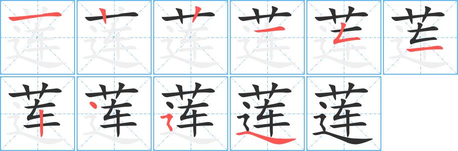莲笔顺分步演示