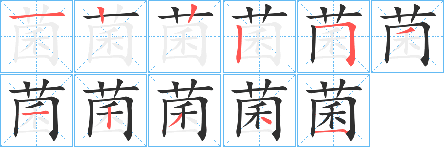 菌笔顺分步演示