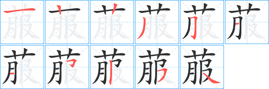 菔笔顺分步演示
