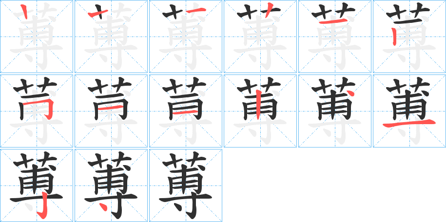 蒪笔顺分步演示