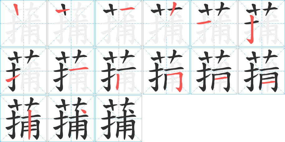蒱笔顺分步演示