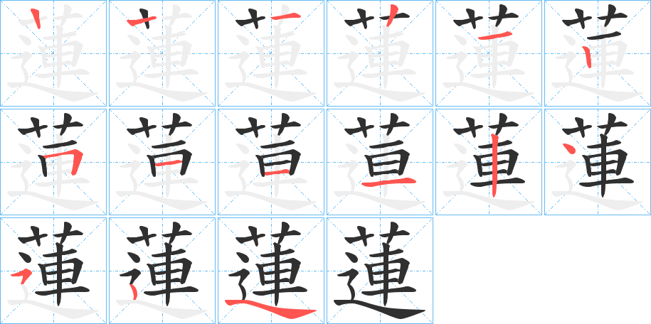 蓮笔顺分步演示
