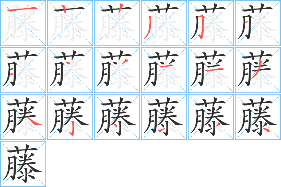 藤笔顺分步演示