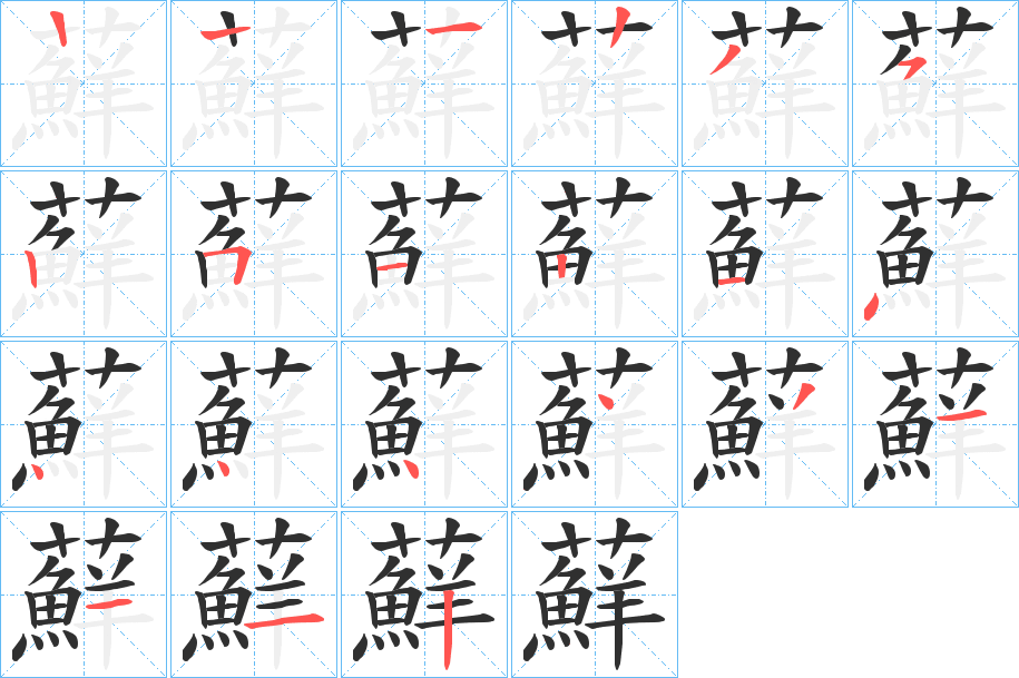 蘚笔顺分步演示