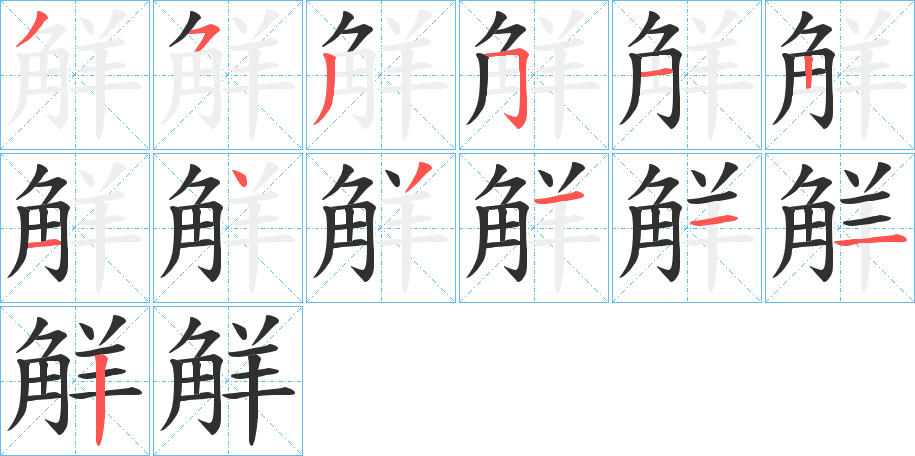 觧笔顺分步演示