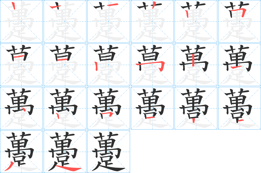 躉笔顺分步演示